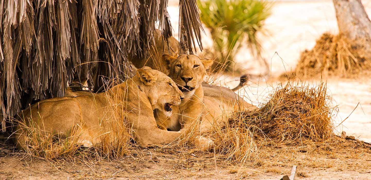 Selous Game Reserve